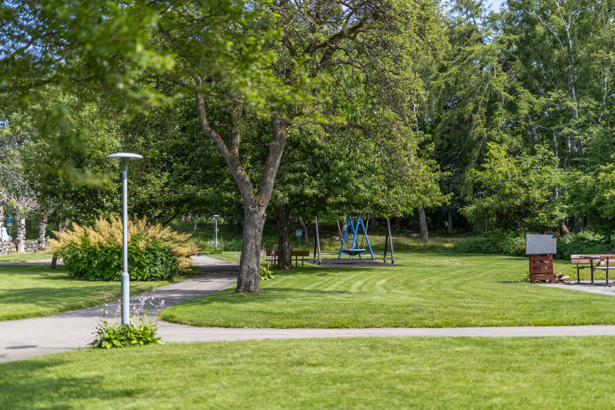 Bräcke Park - grönområdet i parken där loppet startar och slutar